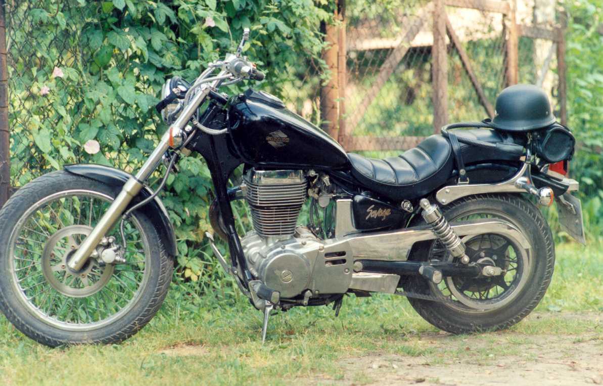 Suzuki Is Cute Even In A Savage World suzukisavage.com suzuki savage